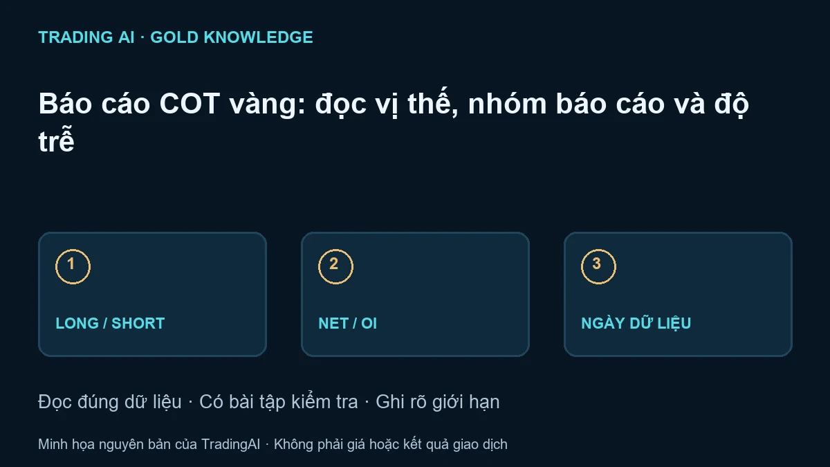 báo cáo COT vàng — sơ đồ giáo dục nguyên bản, không phải báo giá