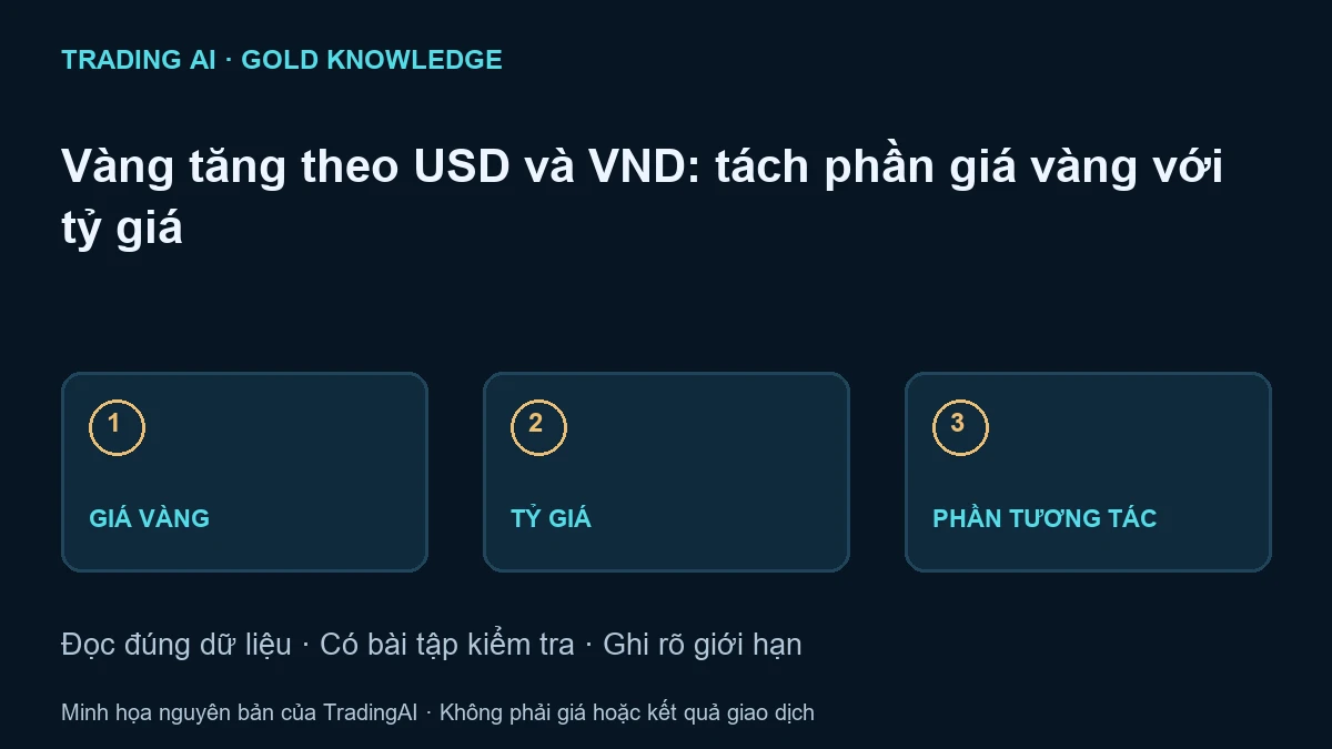 biến động vàng USD VND — sơ đồ giáo dục nguyên bản, không phải báo giá